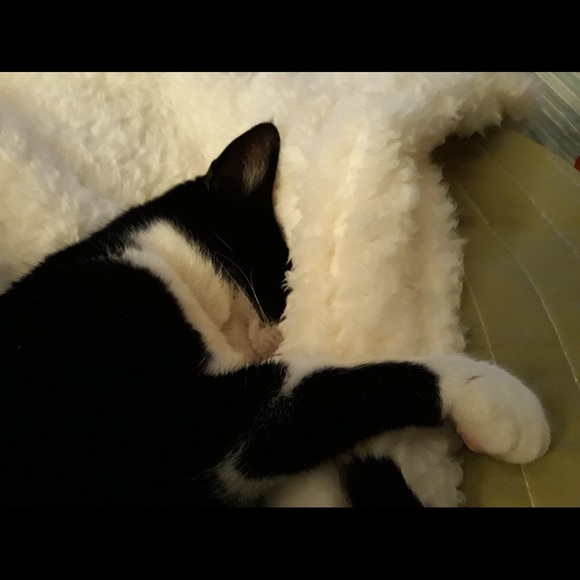 Meet your Posher, Mandy - Picture 9 of 16